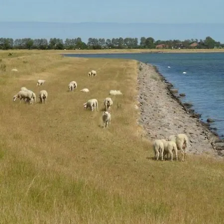 Lejlighed Meerhafen Orth