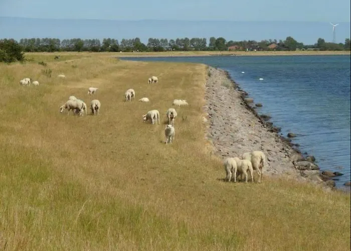 Appartement Meerhafen Orth